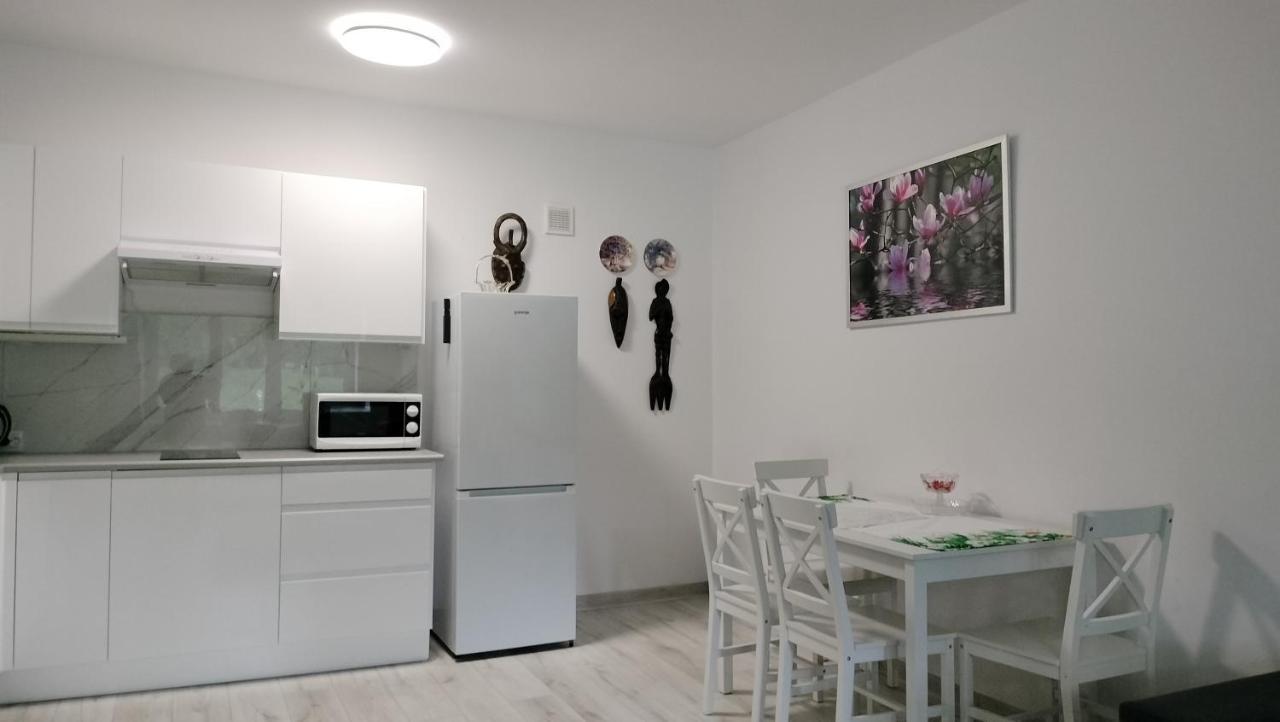 Apartament Nad Fontanna Rzeszow Exterior photo